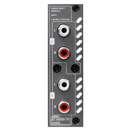 AXION Audio Input Card