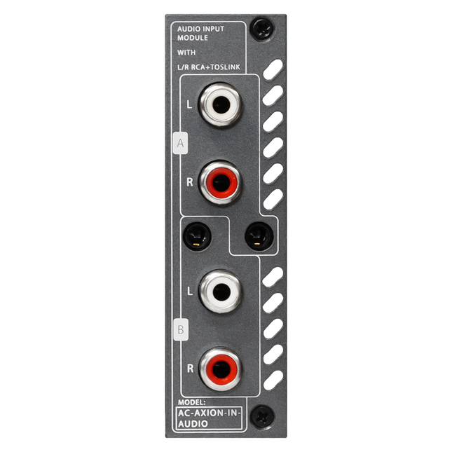 AXION Audio Input Card